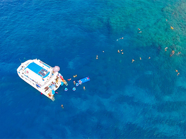 Body Glove Deluxe Snorkel & Dolphin Watch